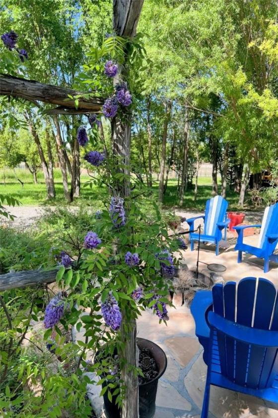 Rare and Beautiful Horse Property Near Santa Fe - photo 4