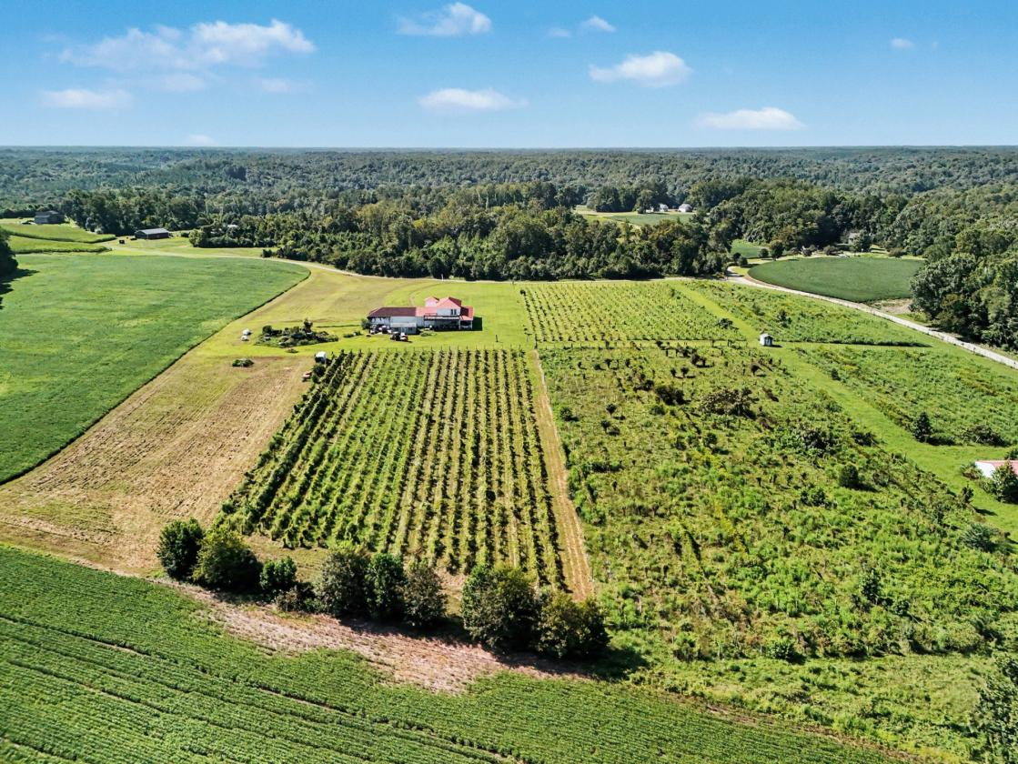 Caret Cellars Vineyard & Winery Auction on 45+- Ac - photo 27