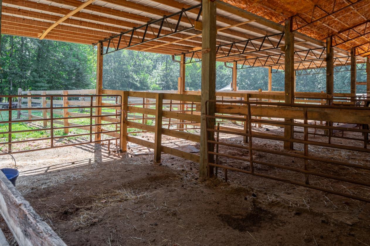 Must SEE Equestrian Property on 25+ acres - photo 17