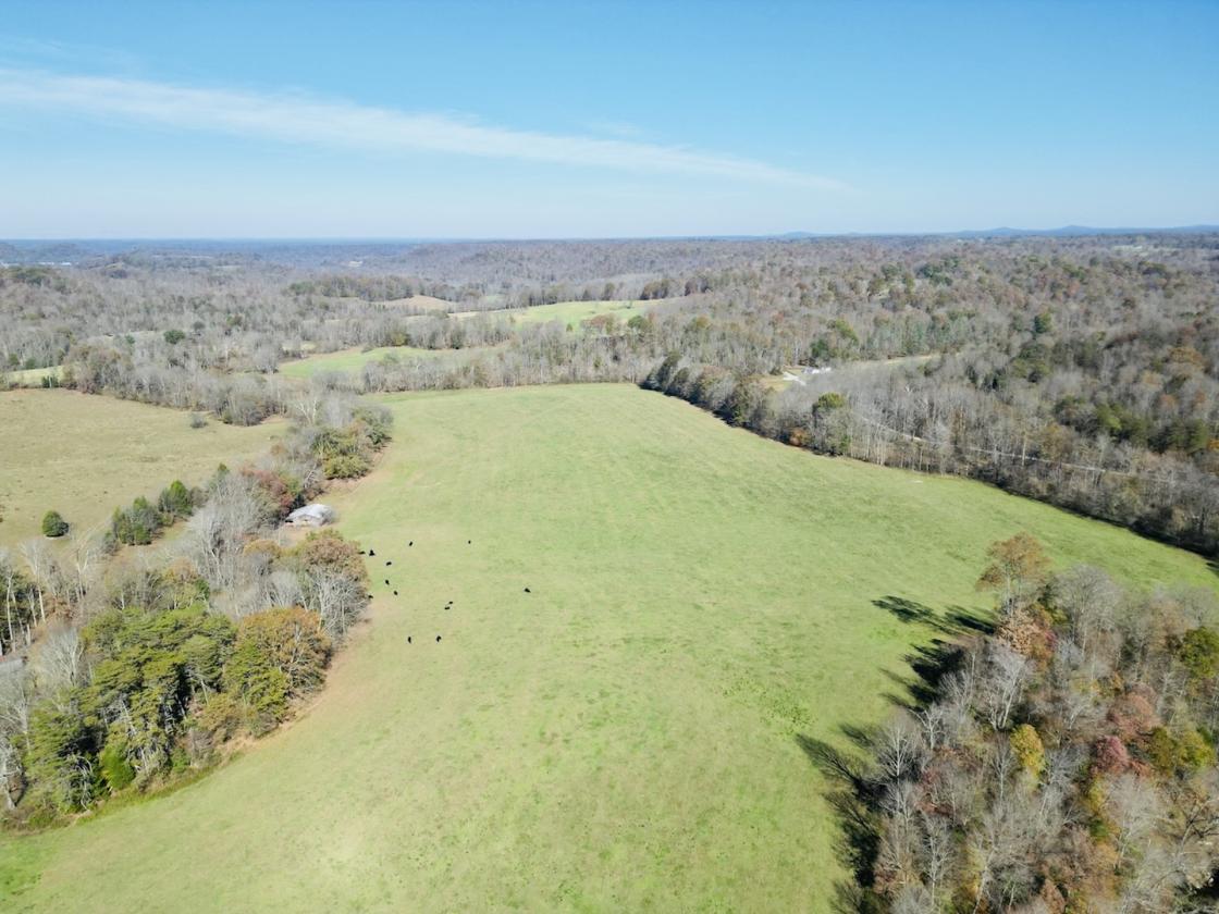 252 ACRES M/L NEAR LAKE CUMBERLAND - photo 5