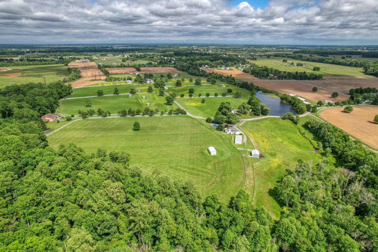 CandyLand Farm: Where Dreams Gallop Free! - photo 6