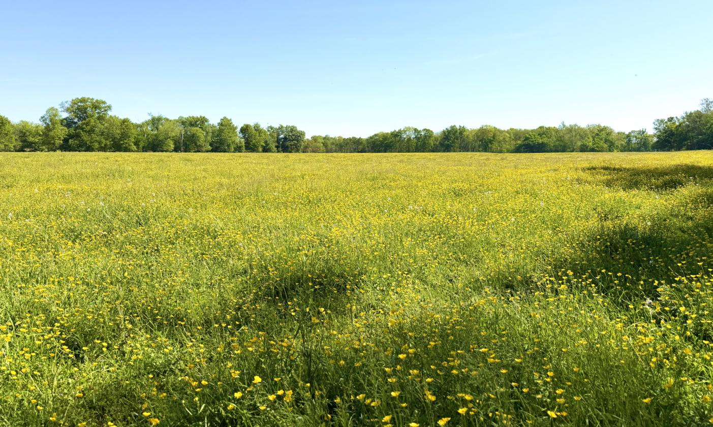 Stunning 1,000+ Acre Equestrian Land - photo 16