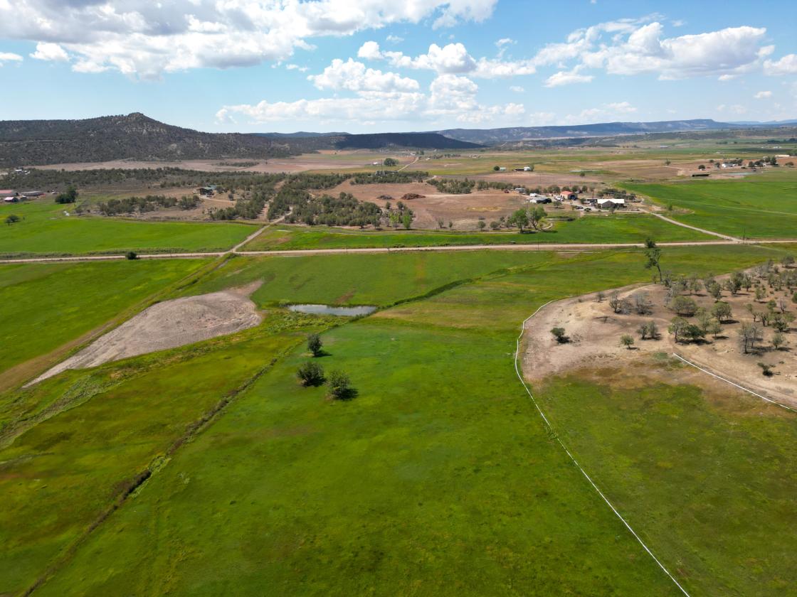 Picturesque 80-acre ranch! - photo 6