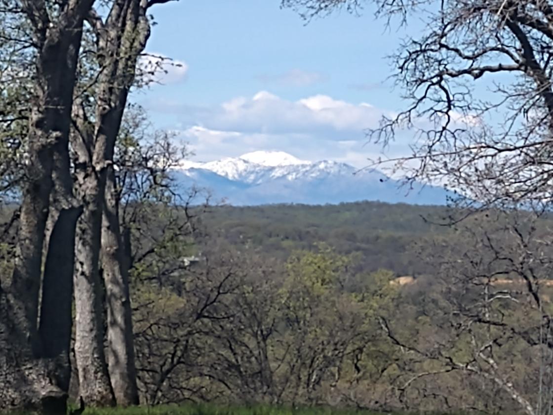 Utilities, Barn, and Mountain Views! - photo 17