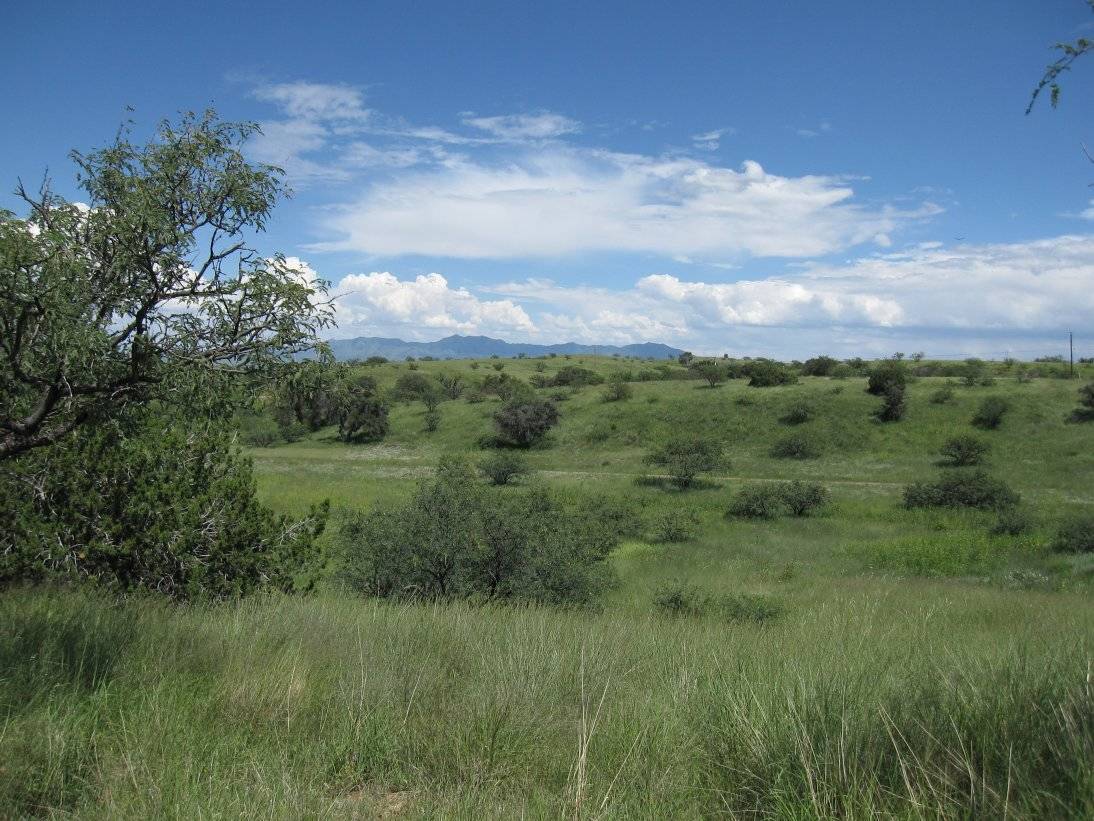 18+ acre Horse Property Near Sonoita, AZ Sonoita, Pima