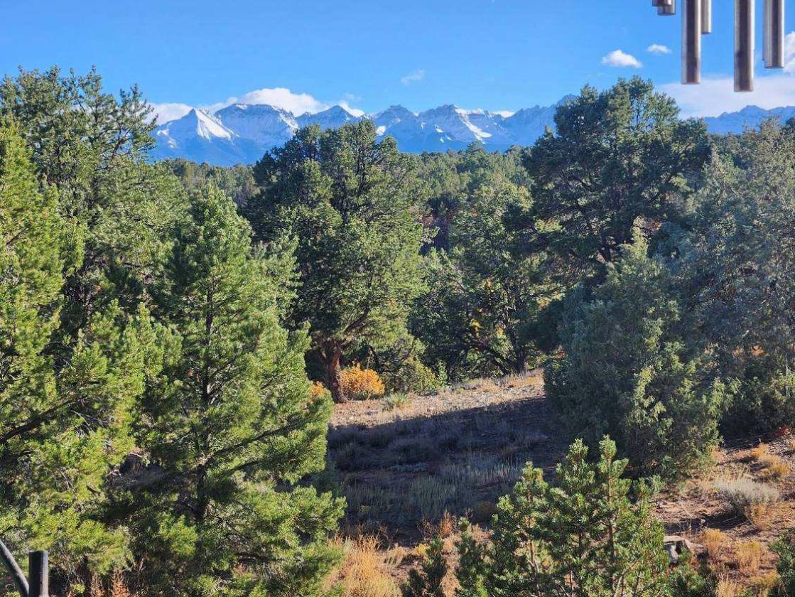 Horse Property for sale.