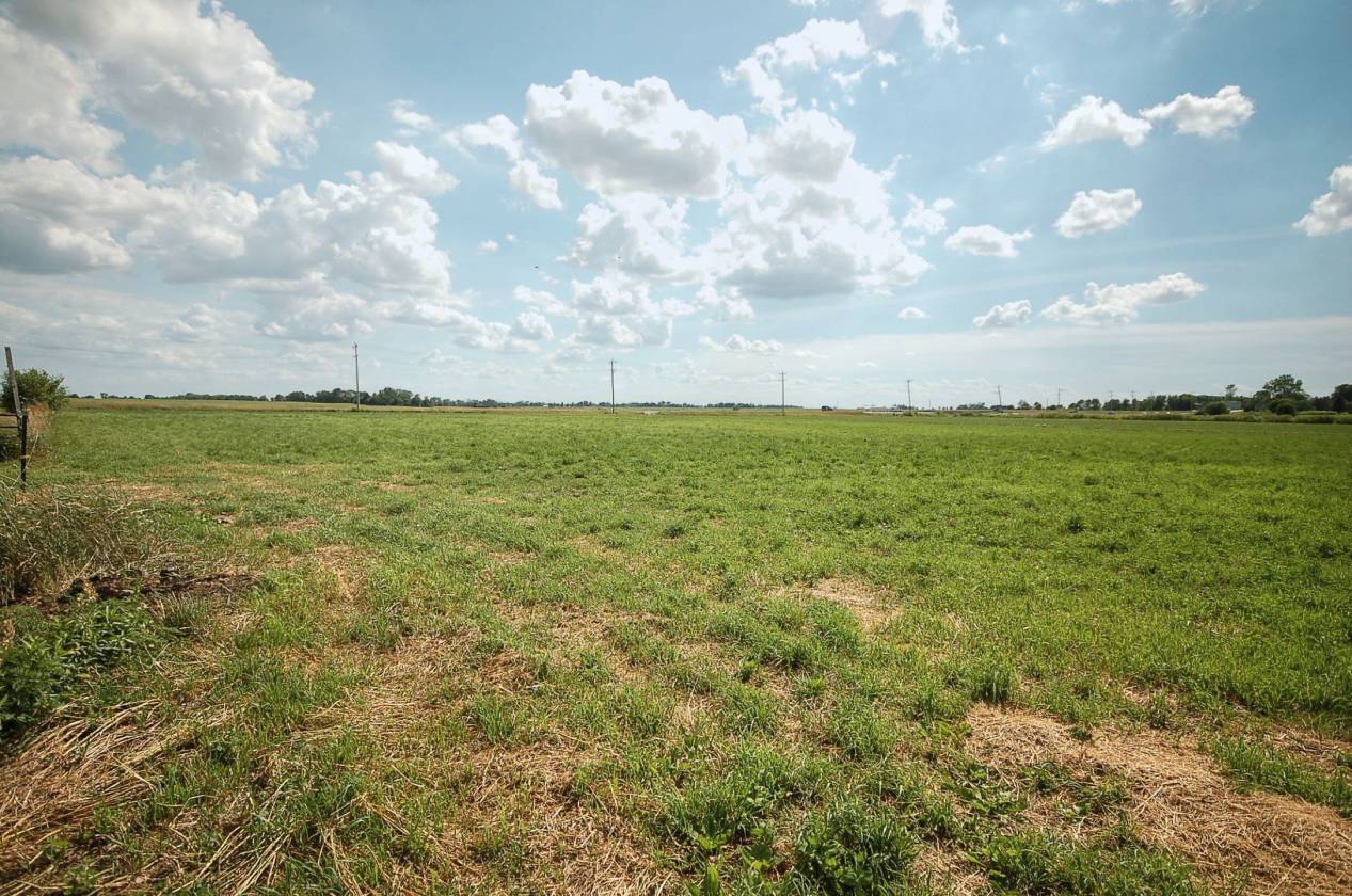 20 ac Horse Farm in Beecher, IL Beecher, Will County, Illinois