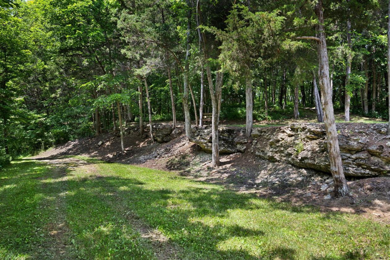 Your Own Private Paradise on 66 Acres - photo 25