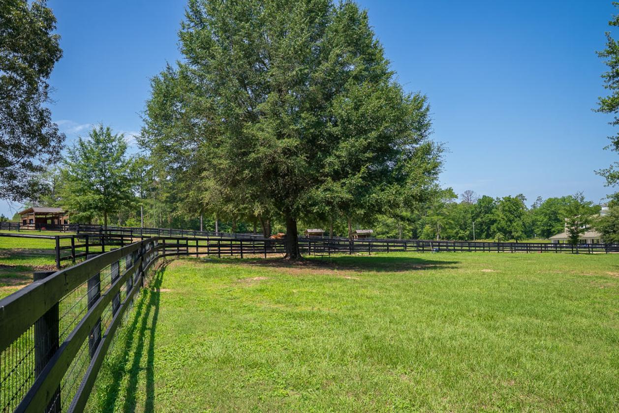 Horse-Ready in Aiken’s Goodsprings Plantation - photo 3