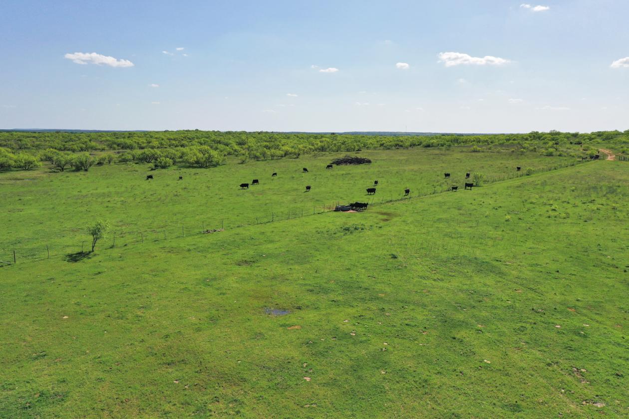 SPECTACULAR ±331 ACRE RANCH WITH MULTIPLE HOMES + - photo 19