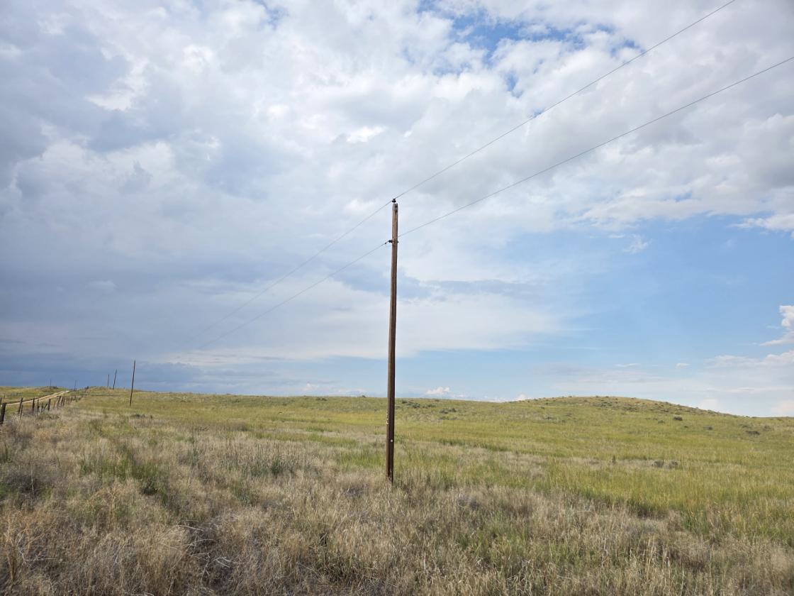 UP TO 80 ACRES AVAILABLE - photo 1