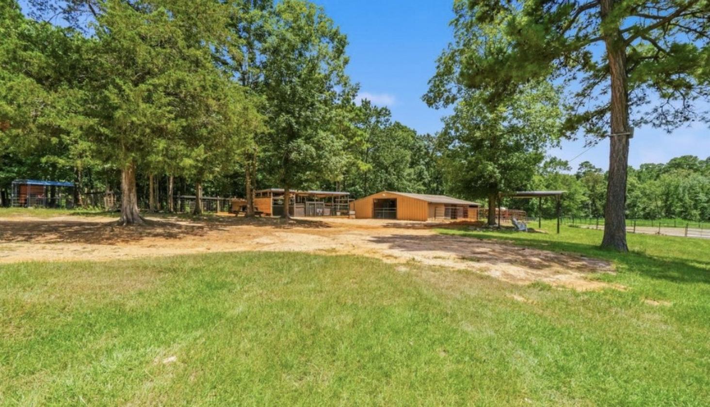 Beautiful East Texas horse property - photo 3