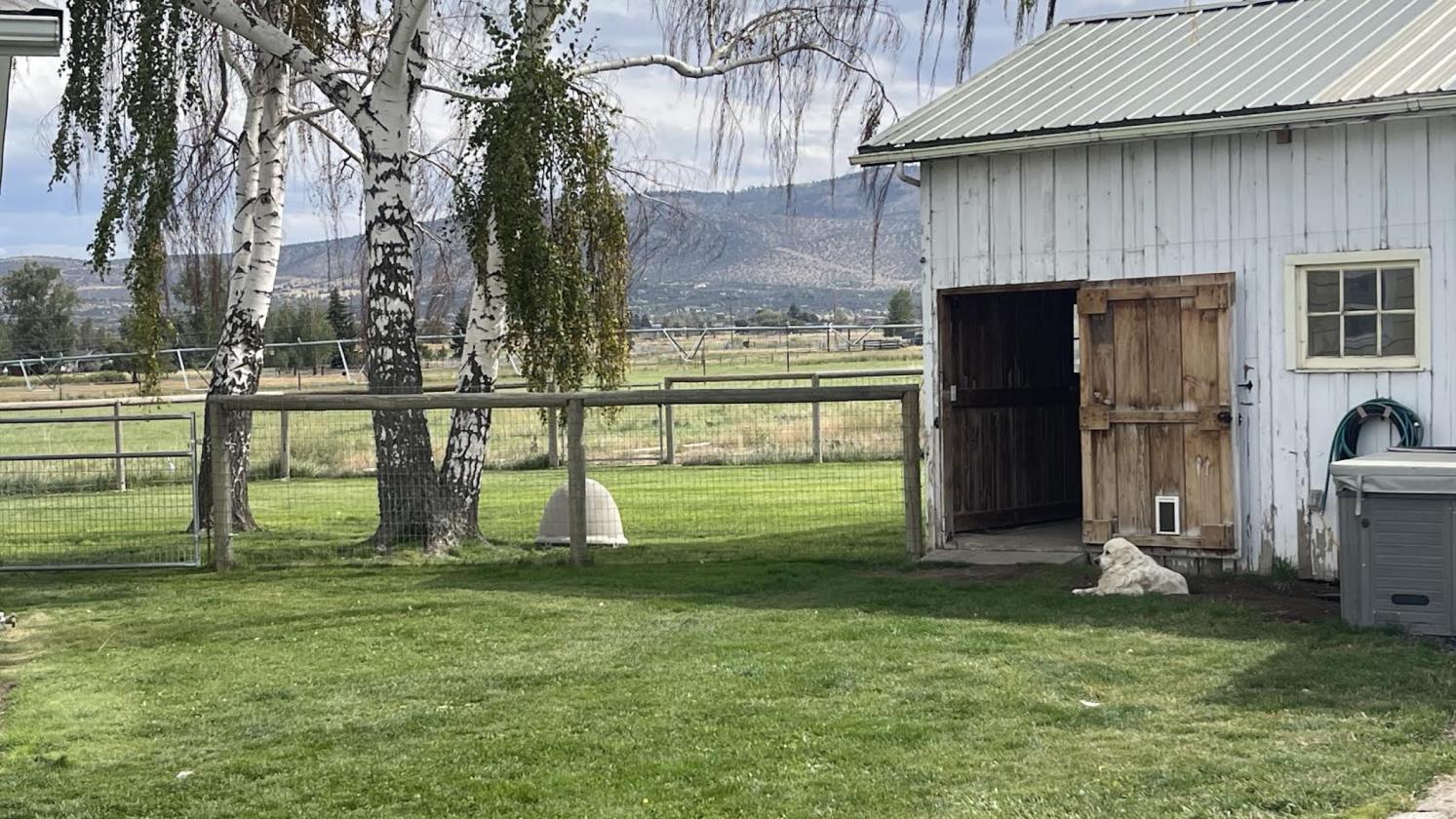 29 Acres | 24.34 Irrigated | Horse-Ready - photo 19
