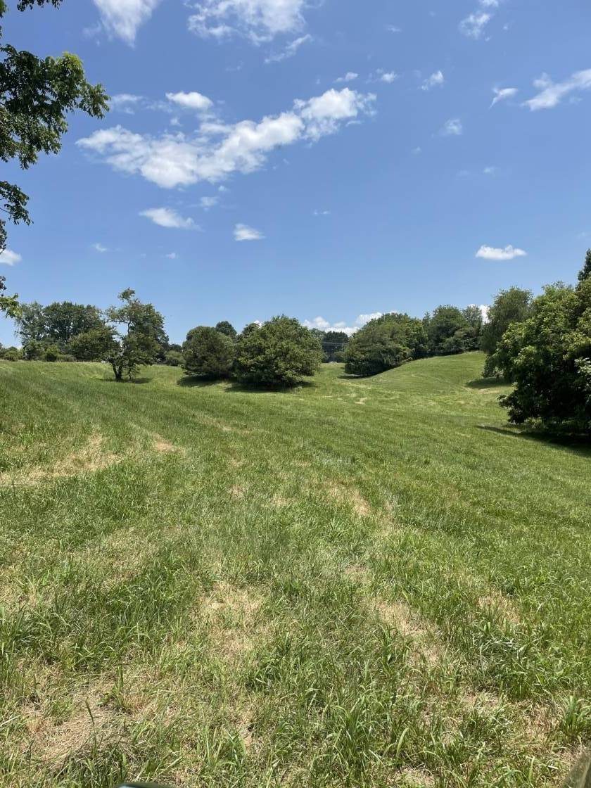 Horse Property for sale.