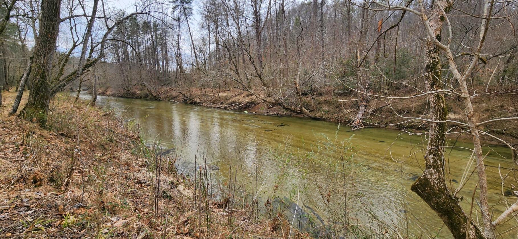 Riverfront- 12 ac at The Coves Mtn RIver Club - photo 3