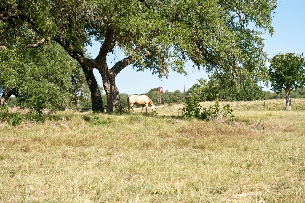 15 Acres Uballe Ranch - photo 24