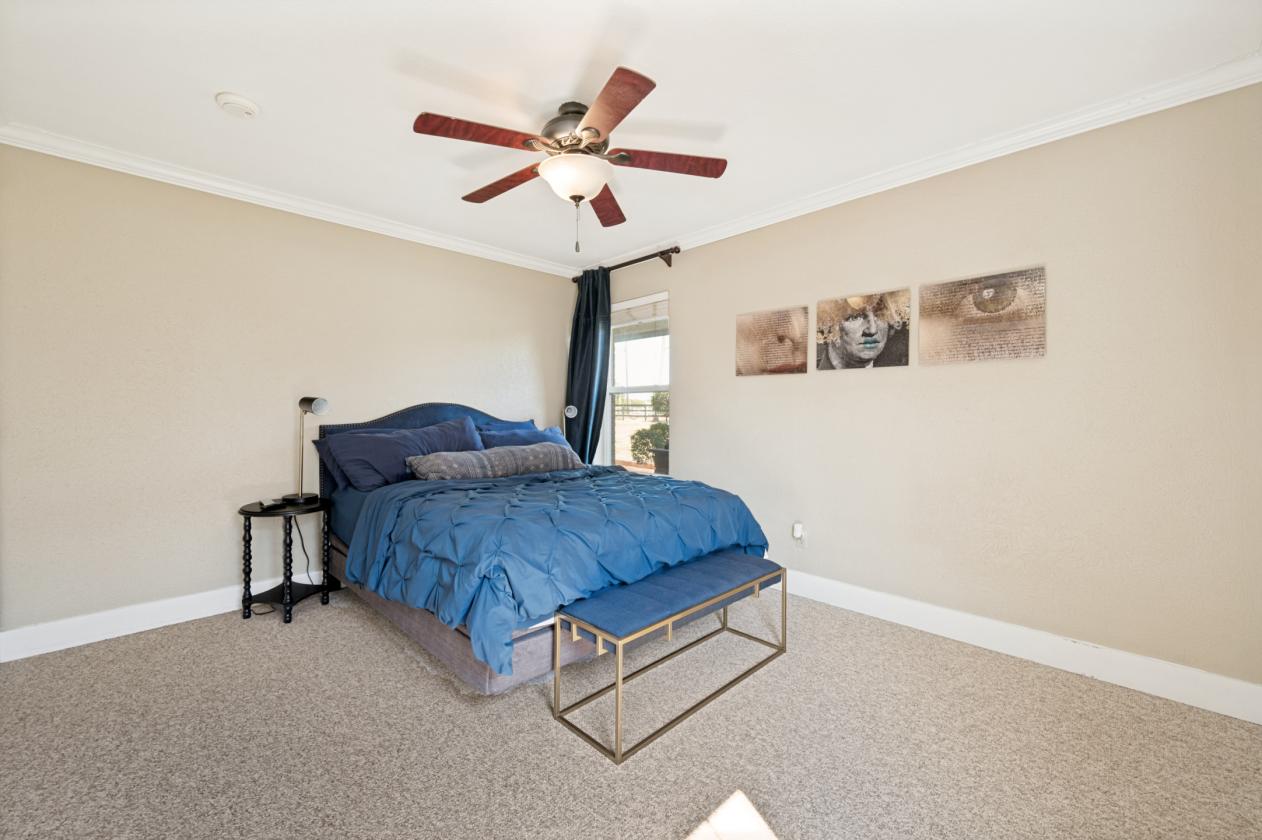 Horse property in the heart of the city - photo 21