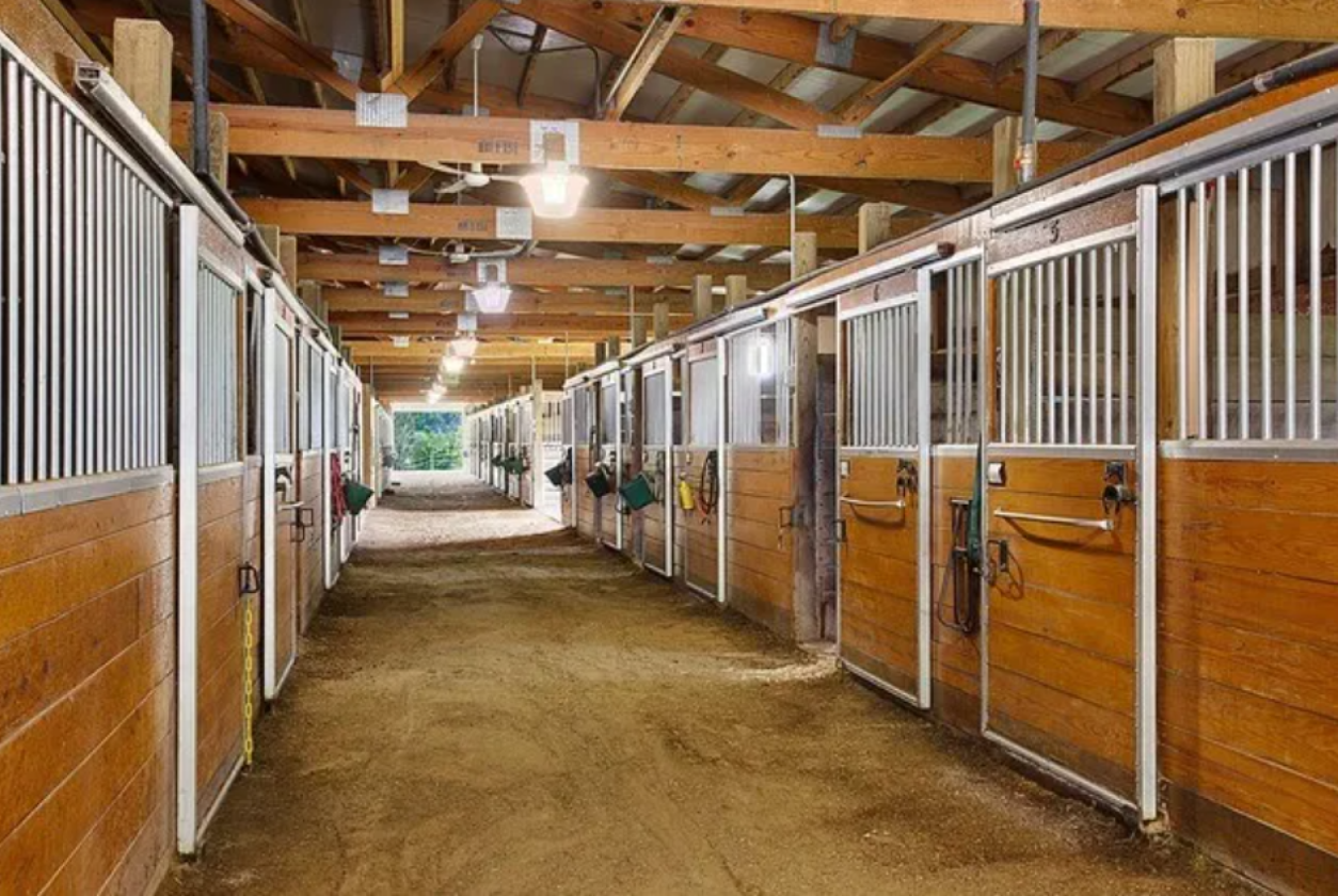 20 Acre Equestrian Property with 30 Stalls - photo 4