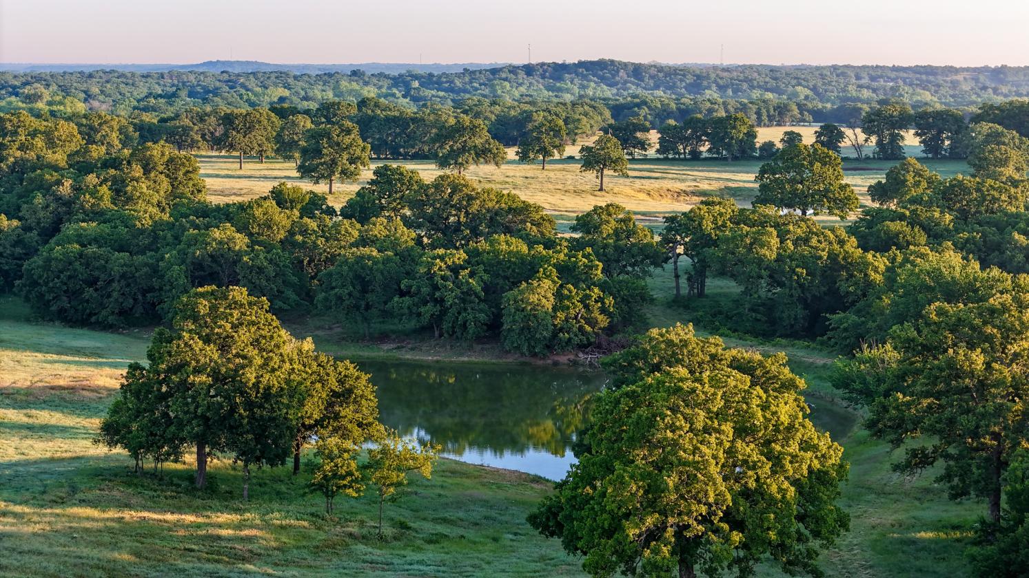Luxury Equestrian Estate - Wise County - photo 19