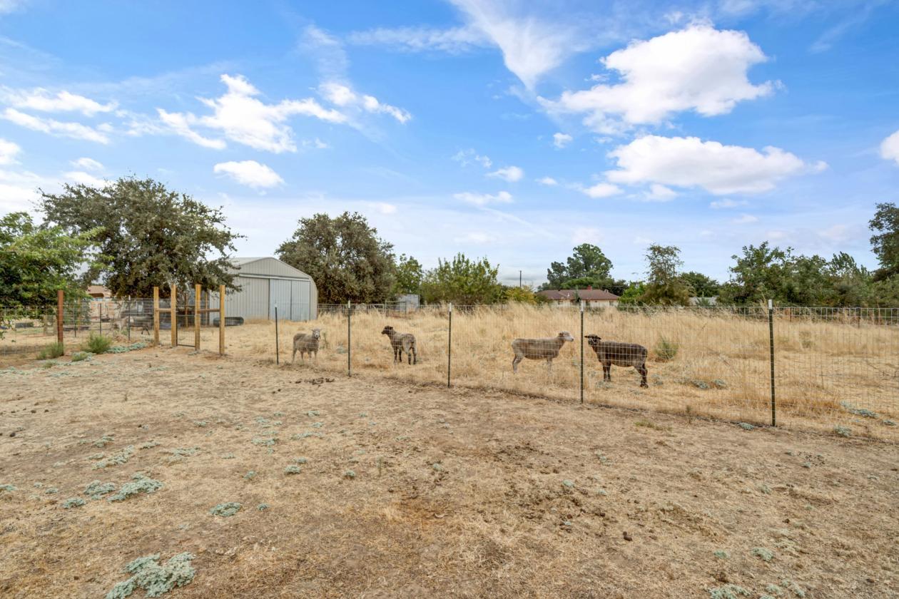 Horse Property with Owned Solar Close to City - photo 28