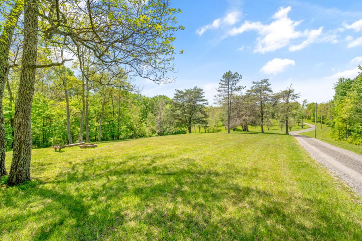 Future Equestrian Estate with Log Home - photo 13