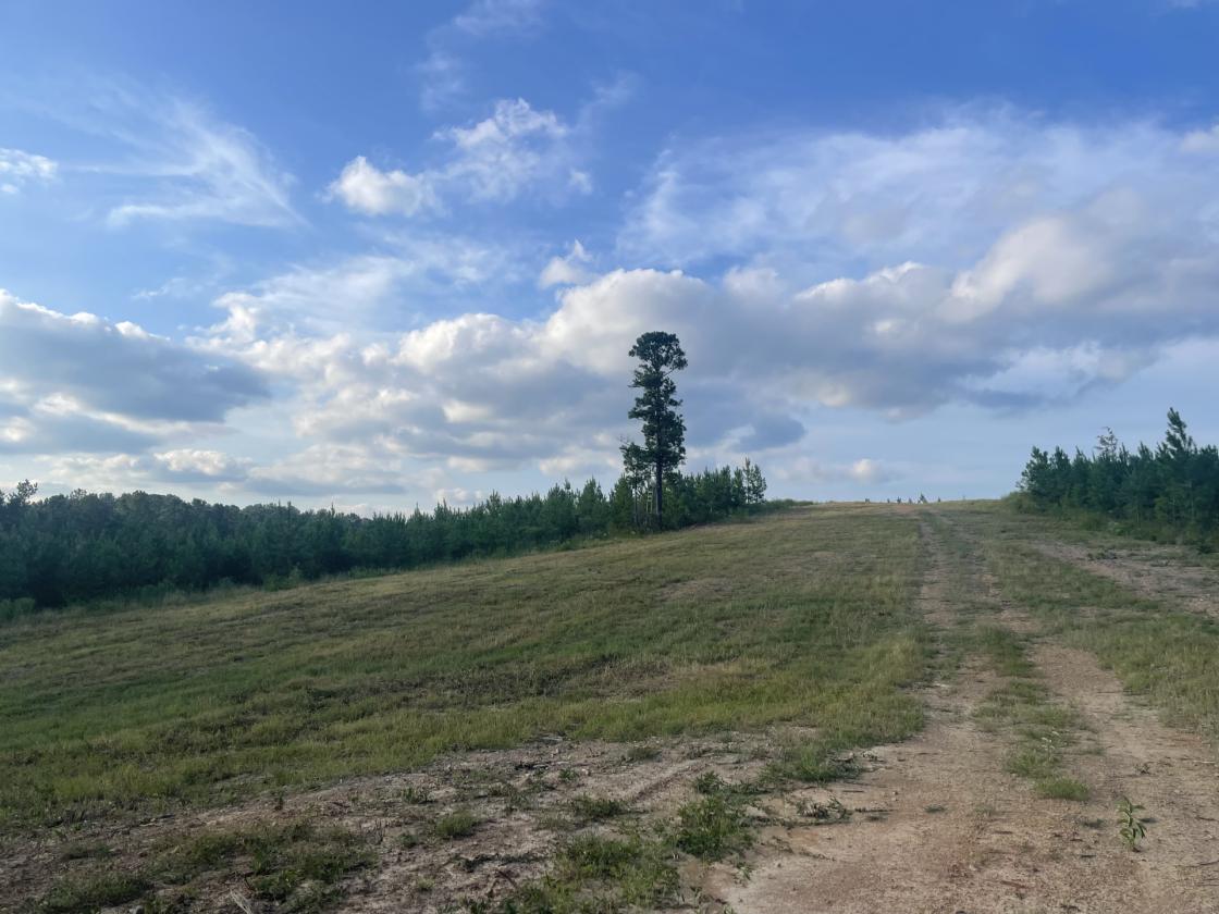 160 Acres in Shelby County w/ pastures and lake - photo 18