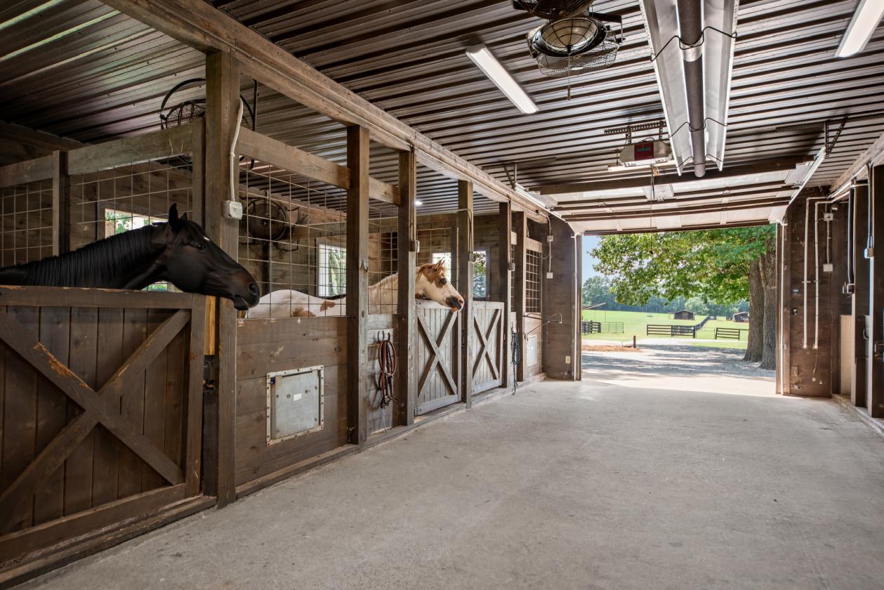 Luxury Equestrian Estate - 96 Acres - photo 11