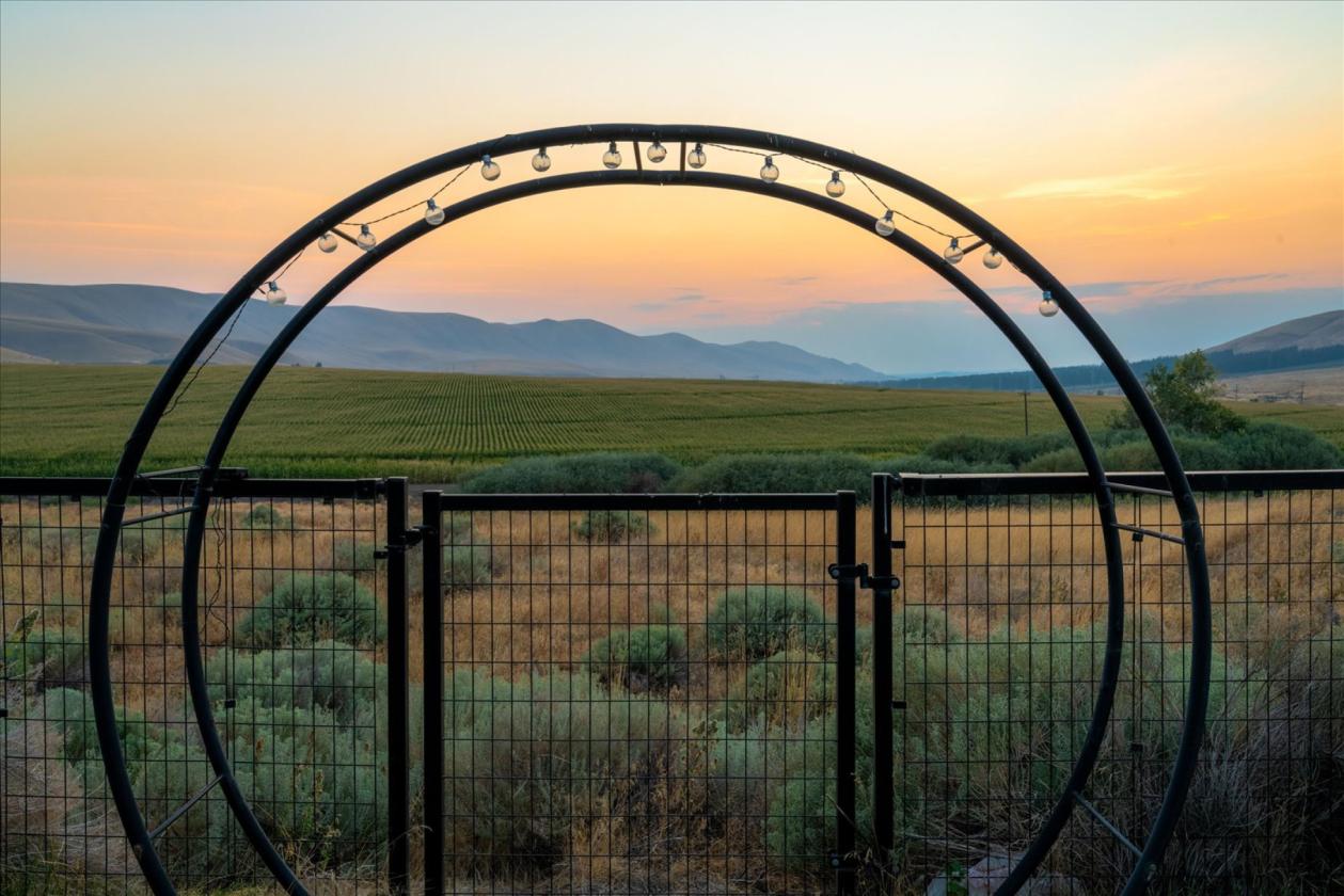 14 fully irrigated private acres in Badger Canyon - photo 24