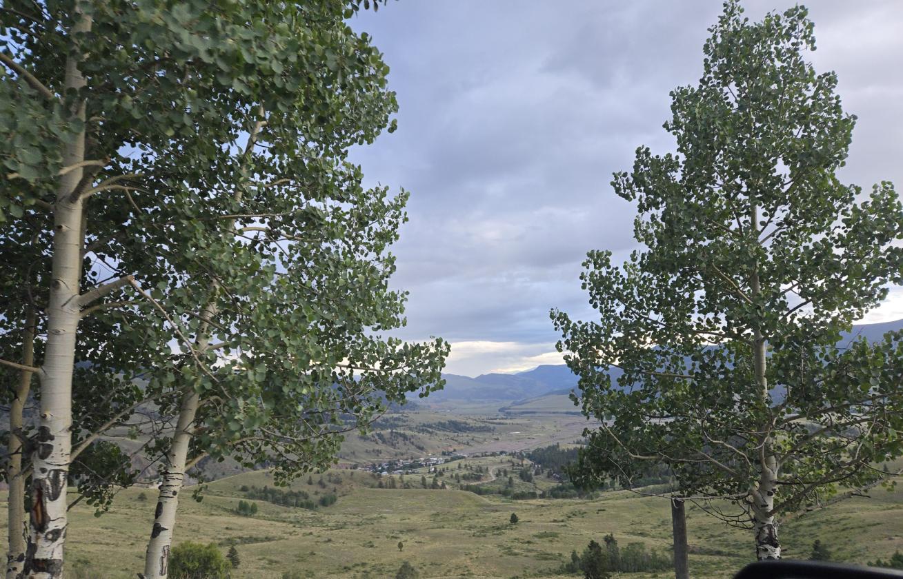 Spectacular Lot on 3.61 acres - photo 10