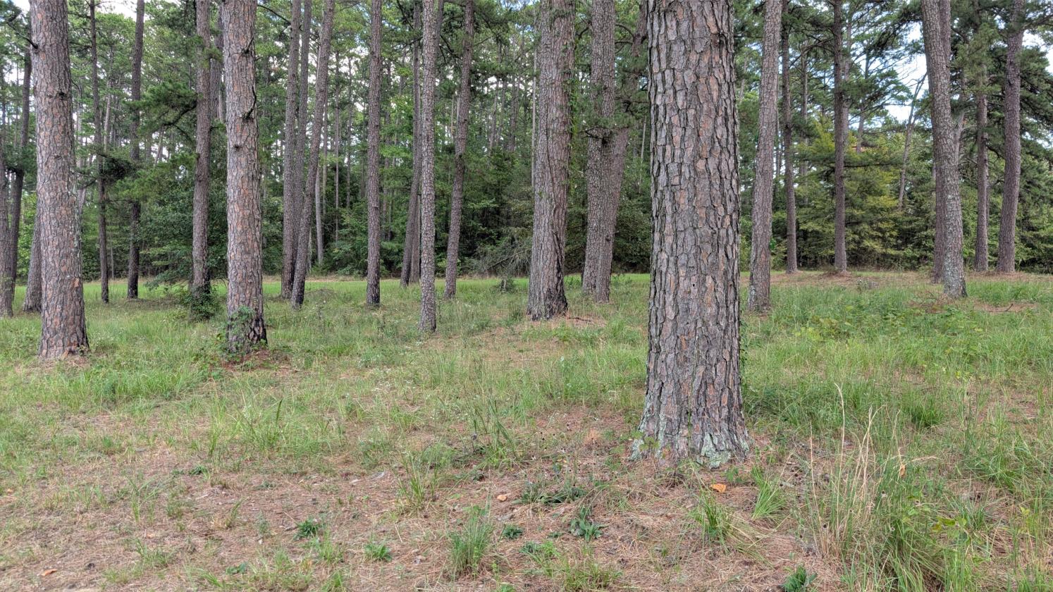 Homesteader's Paradise - photo 28