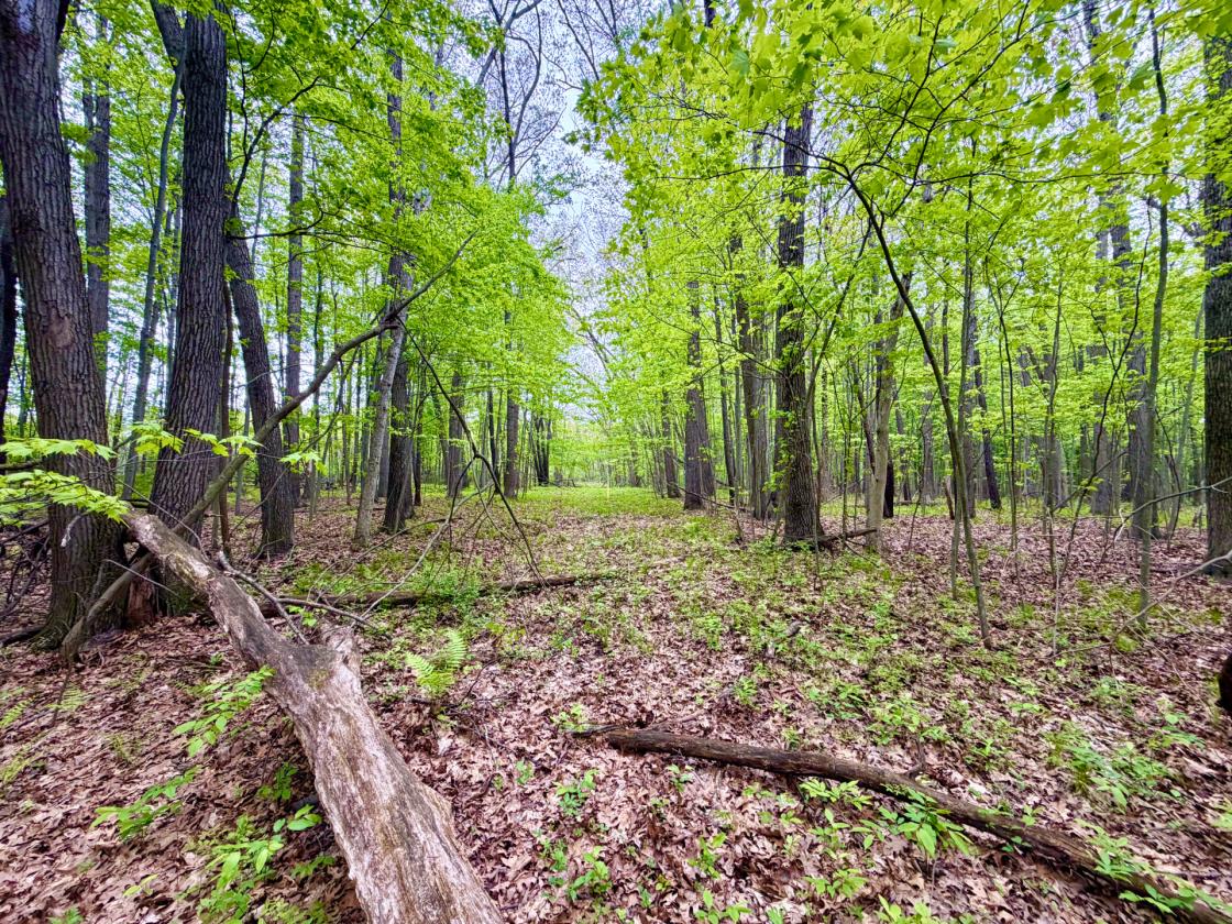 60Acres Equestrian Land with Scenic Trails - photo 27