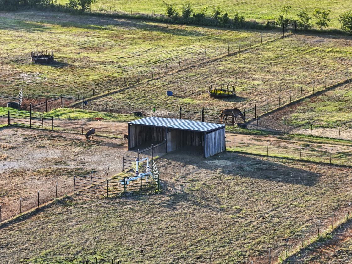 Perfect horse property just minutes from DFW - photo 5