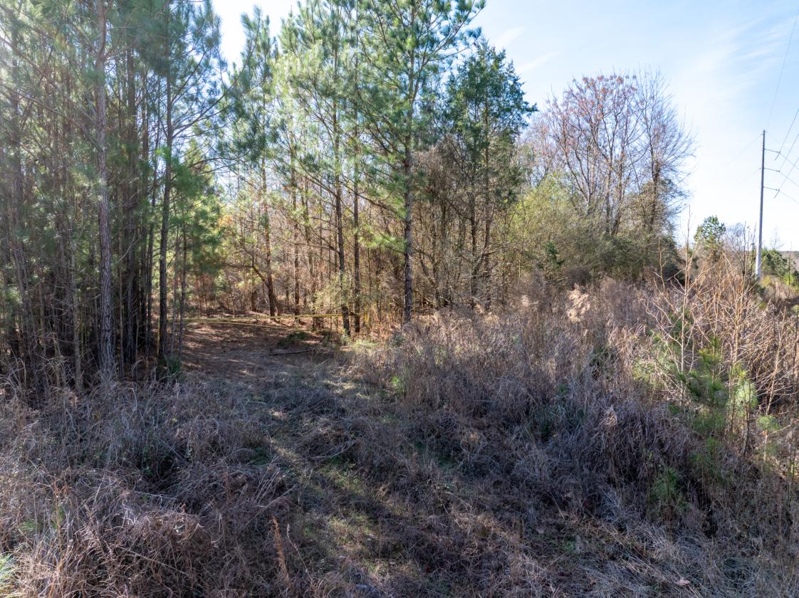 211 Acres- Luxury Estate & Equestrian Development - photo 4