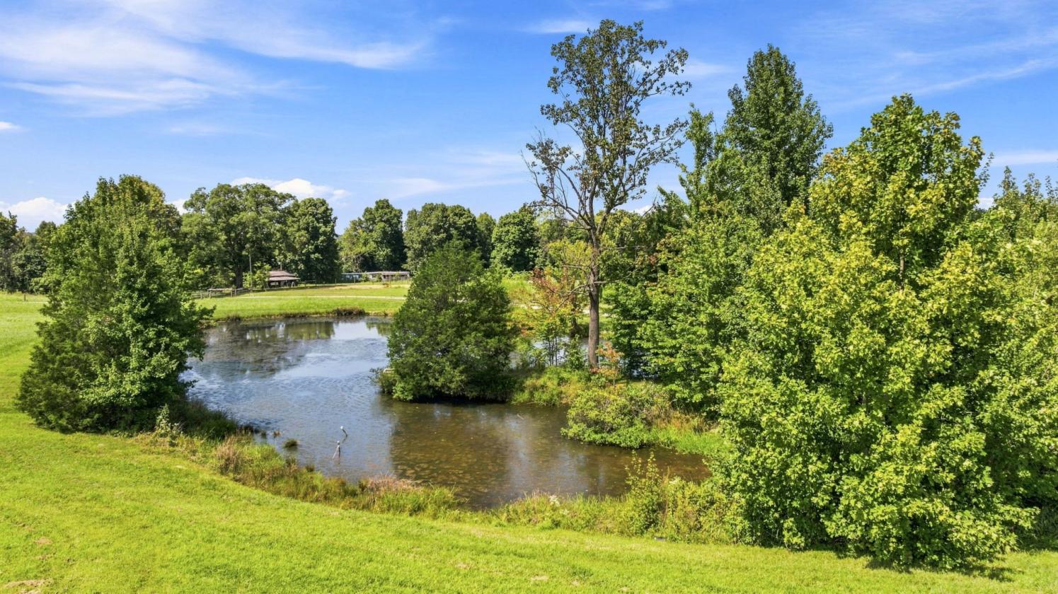 Multigenerational Home with 32 Acres & Horse Barn - photo 14