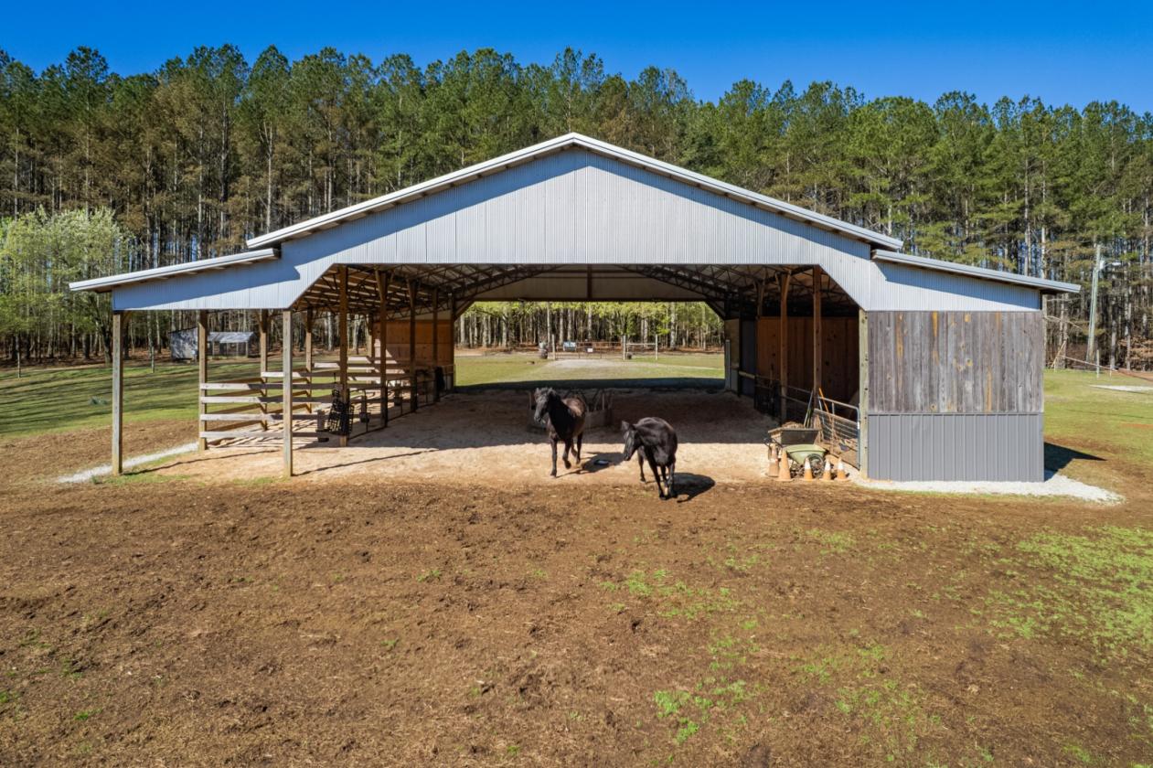 Creekside Equestrian Retreat on 19.3 acres - photo 5