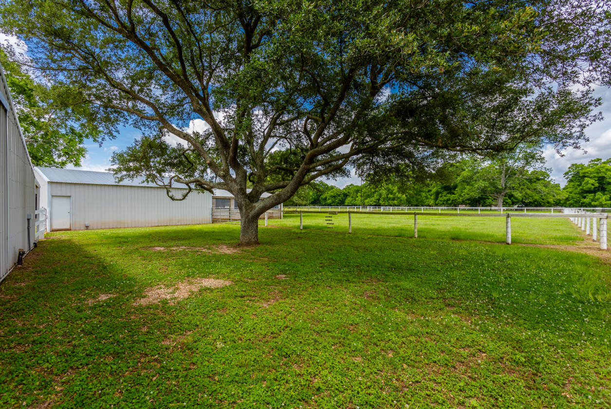 Horse Property in much desired Fulshear Texas Richmond, Fort