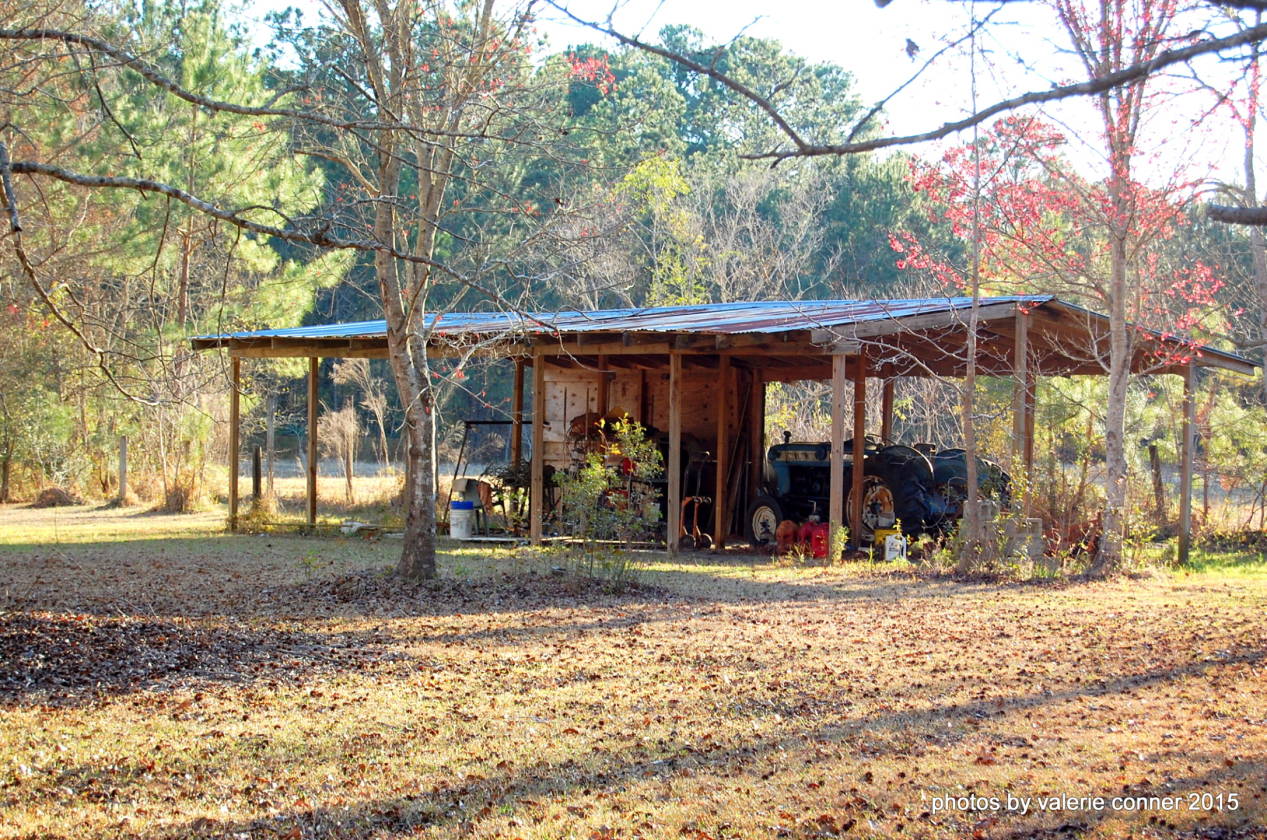 Equestrian Estate BEST OF BOTH WORLDS WATERFRONT & HORSE PROPERTY! Fairhope, Baldwin County