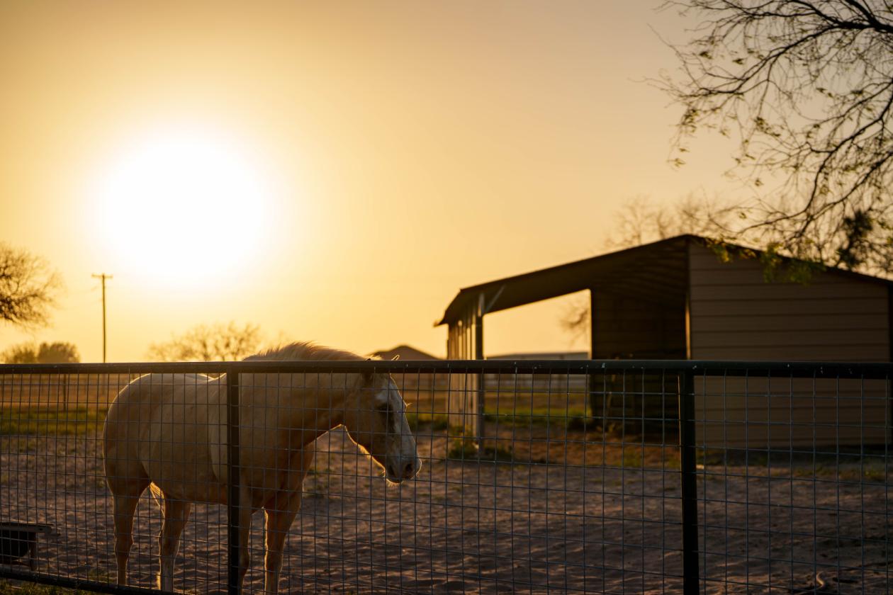 Turnkey 5-Acre Equine Estate - Massive $ Reduction - photo 29