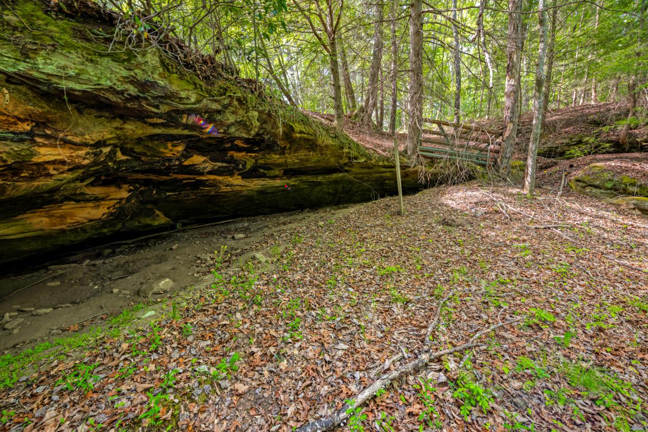 60+ Acre Farm just outside Big South Fork NRRA! - photo 26