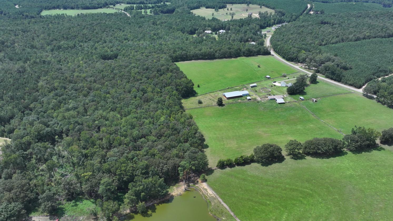Beautiful Equestrian or Investment Farm 52 acres - photo 5
