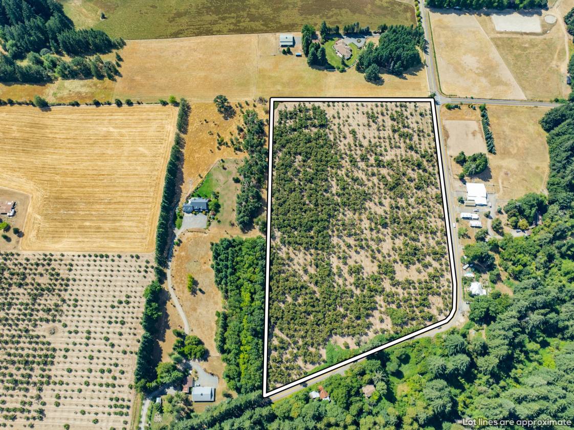 2 Hazelnut lots in Sherwood Horse arena Potential! - photo 8