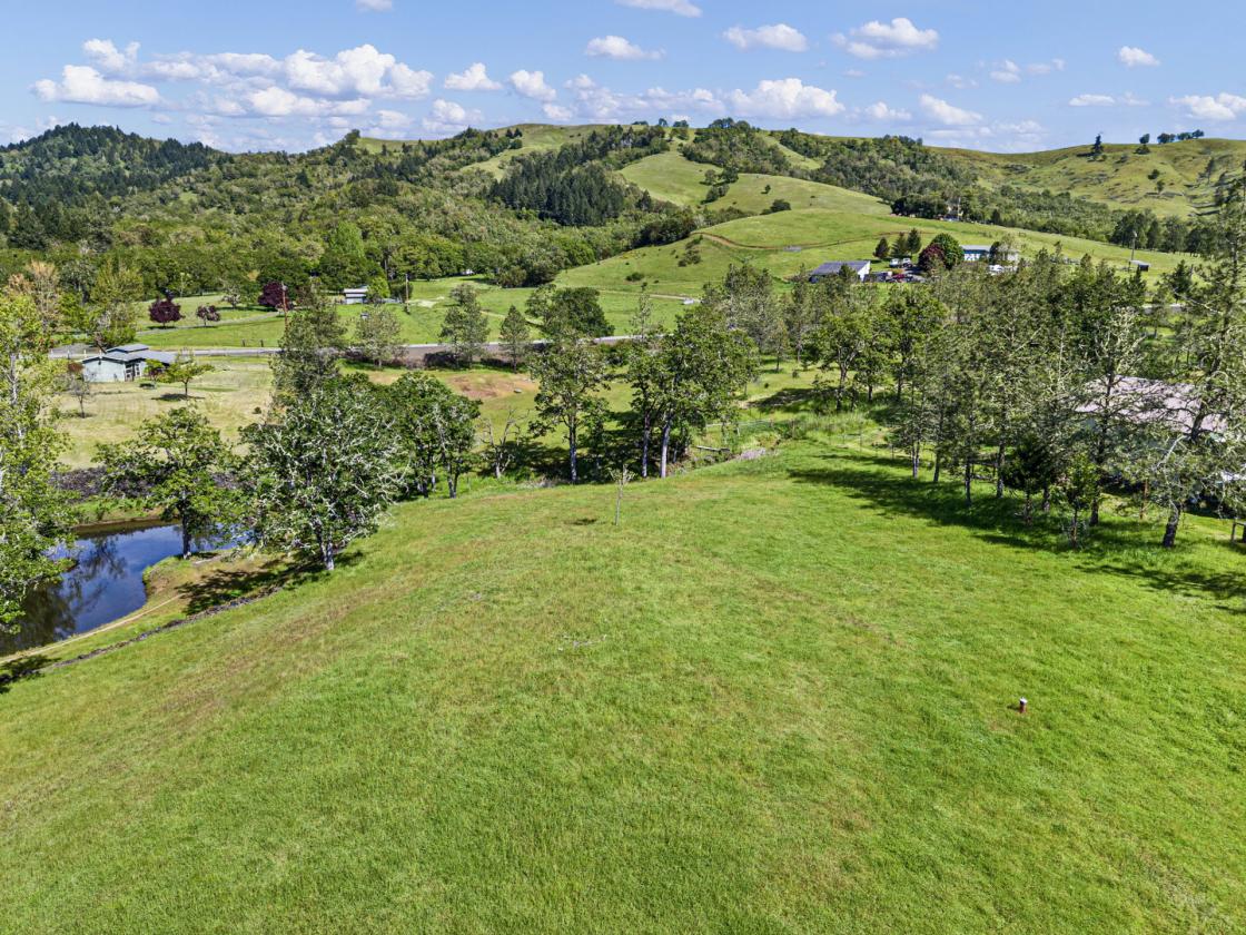 5 Acre horse property, fully remodeled home! - photo 6