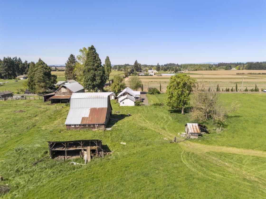 10 Acre Horse Property w/ Two Dwellings - photo 7