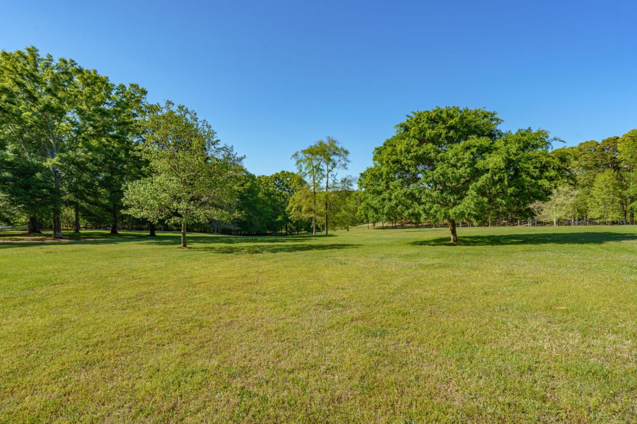 10+ Acre Lakefront Horse Property - photo 11