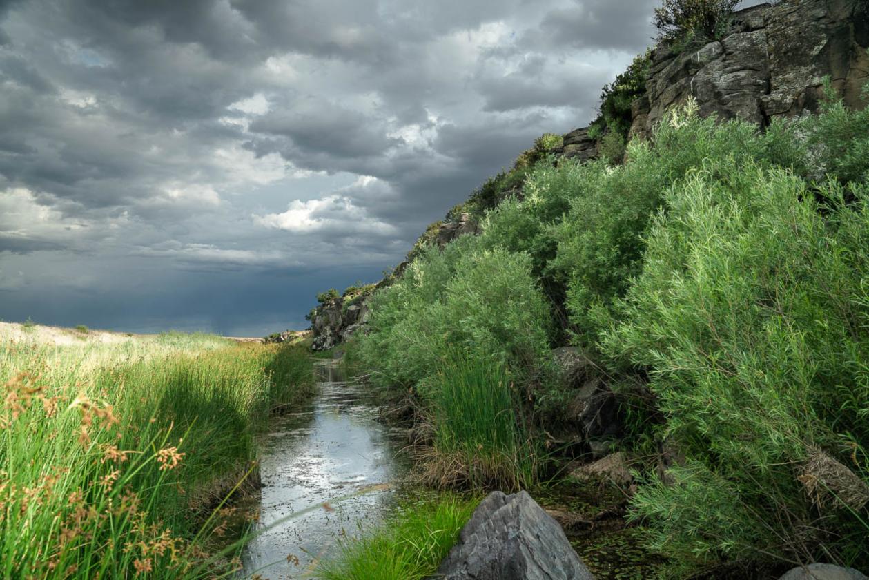 Horse Ranch: 363 Acres, Water & State Land Access - photo 5
