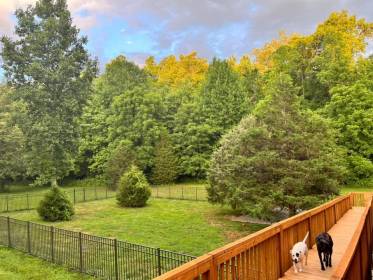 Property image.