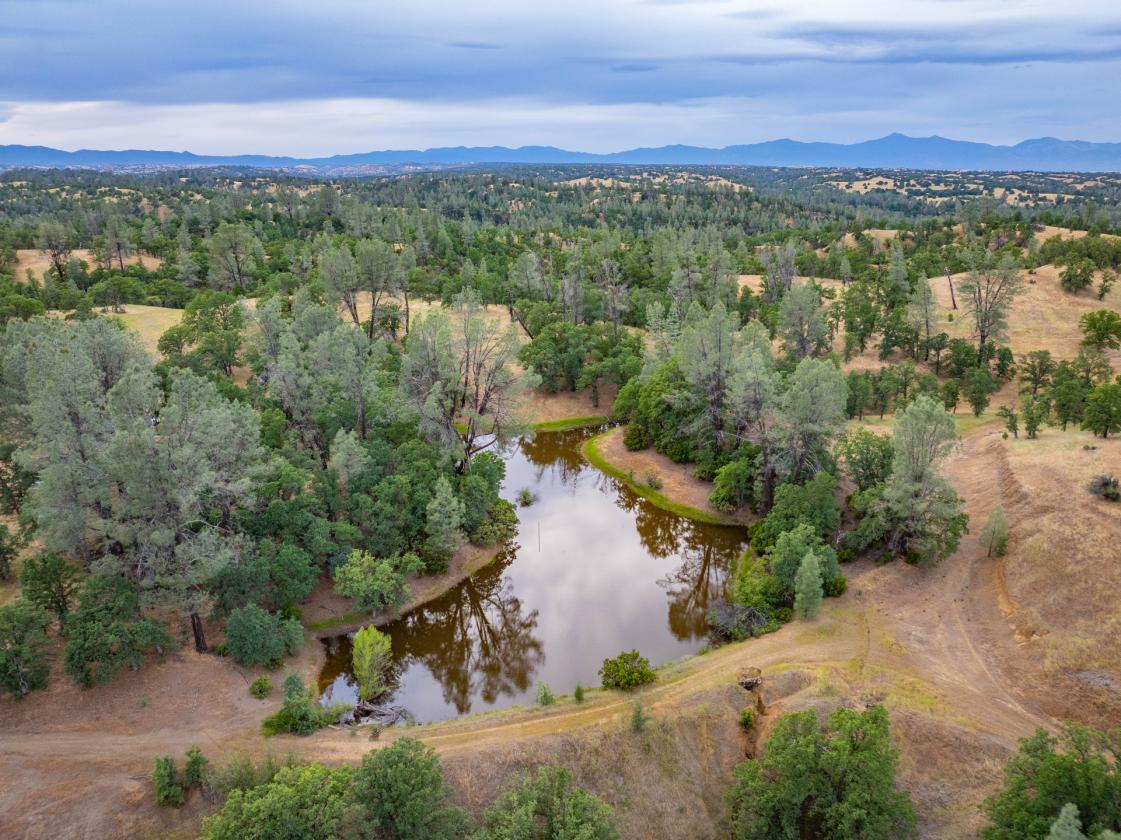 480 Acre Litte Crane Creek Ranch - photo 6