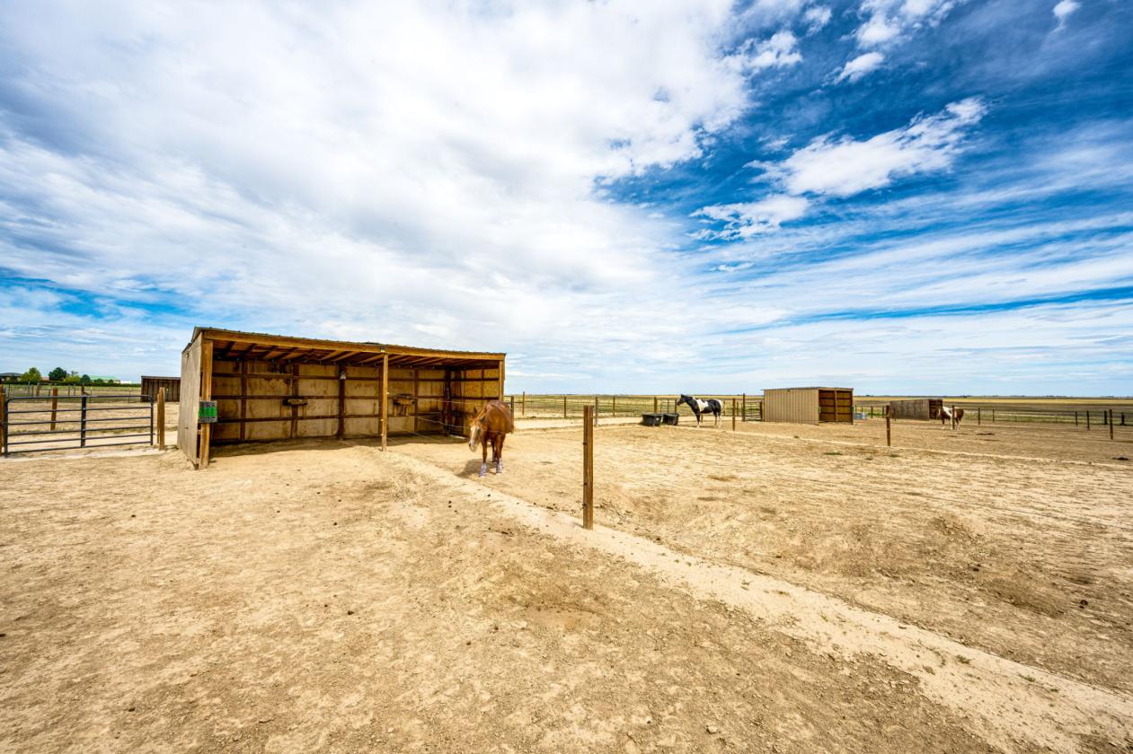 Horse Property & Multi-Generational living! - photo 27