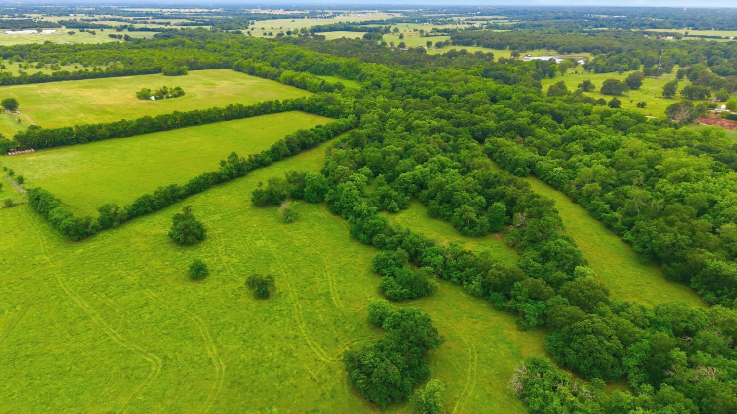 194 ACRE BREATHTAKING RANCH - photo 12