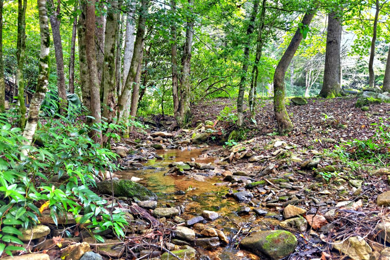 Creekfront Equestrian Estate Bordering Pisgah Forest - photo 4